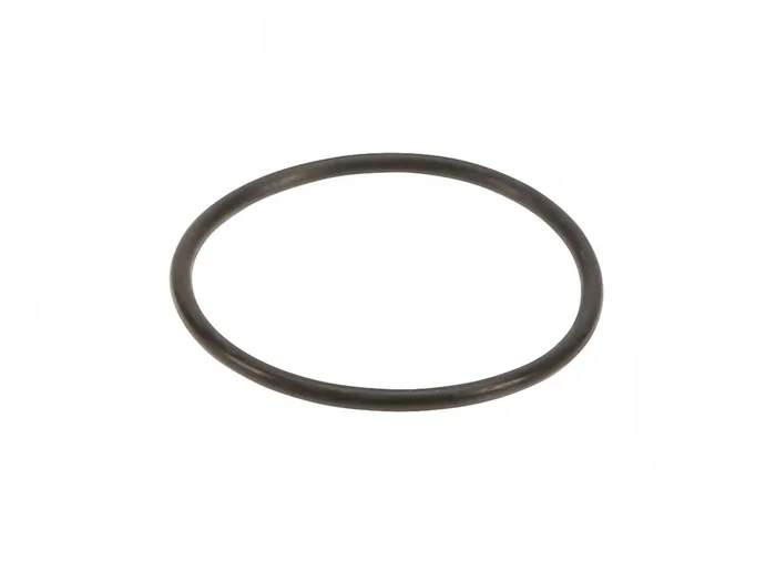 Thermostat Gasket 60×3.5mm – VW/Audi / BMW / Mercedes / Porsche